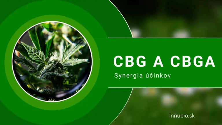 CBG a CBGA Synergia účinkov
